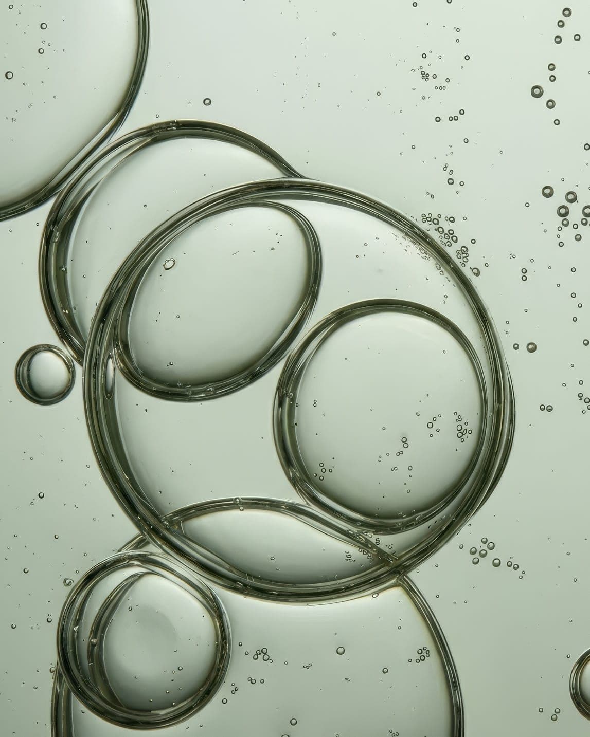 A close-up of clear bubbles suspended in oil